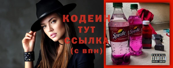 2c-b Бородино