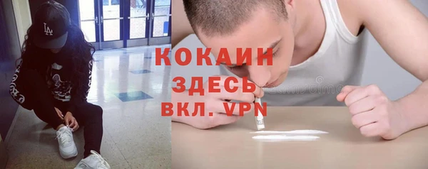 гидра Верхний Тагил