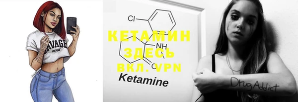 2c-b Бородино