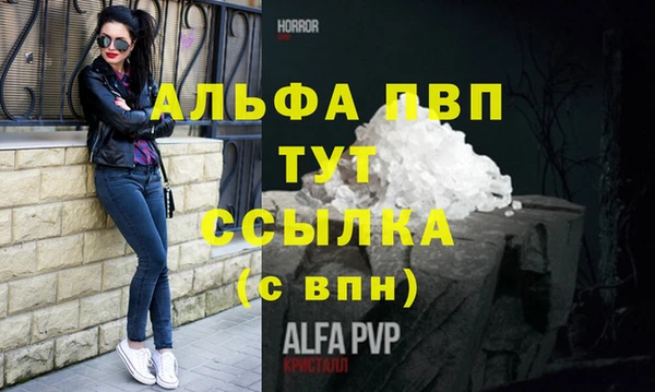 2c-b Бородино
