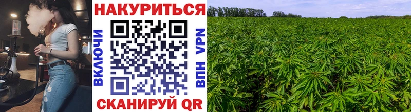 Бошки марихуана White Widow Голицыно